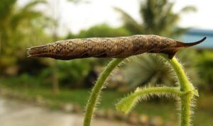 how to start a land clearing business